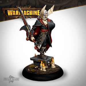 Warmachine Monthly Collector MiniCrate - Steamforged Games