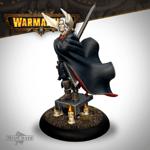 Warmachine Monthly Collector MiniCrate - Steamforged Games