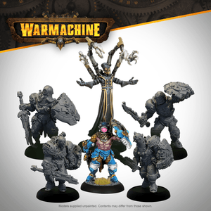 Warmachine: Dominated Stormblades - Steamforged Games