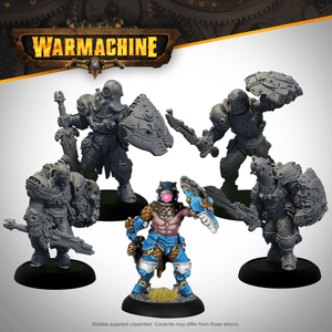 Warmachine: Dominated Stormblades - Steamforged Games