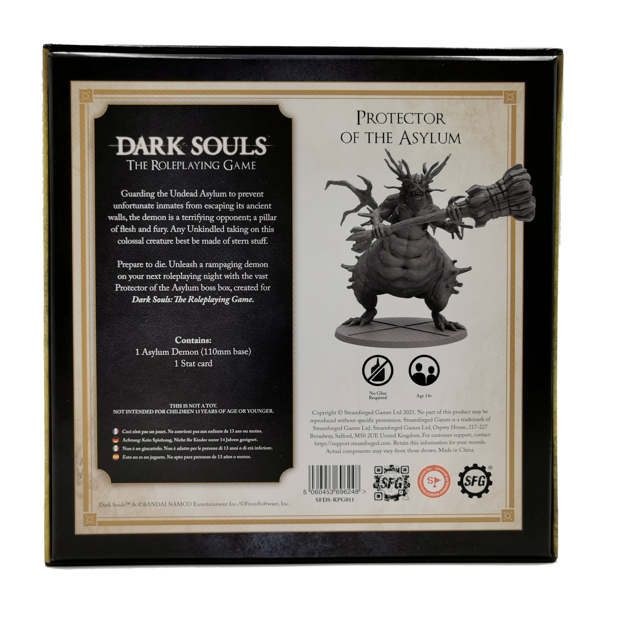 Dark Souls RPG: Protector of the Asylum